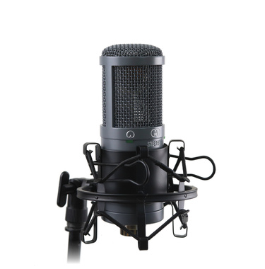 AuraSonics AD22S STEREO стерео микрофон студийный, 2 капсюля 22 мм золото 6 микрон, кардиоидные, XY- - Поставка звукового, светового, видео и сценического оборудования. Аудиовизуальные решения.