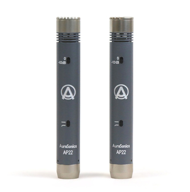 AuraSonics AP22-MP инструментальные студийные микрофоны, подобранная пара, капсюль 22 мм золото 6 ми - Поставка звукового, светового, видео и сценического оборудования. Аудиовизуальные решения.