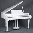 Ringway GDP6320 Polish White - Поставка звукового, светового, видео и сценического оборудования. Аудиовизуальные решения.
