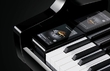 Kawai NV10S - Ekb-musicmag.ru - аудиовизуальное и сценическое оборудование, акустические материалы