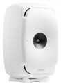 Genelec 8361AW - Поставка звукового, светового, видео и сценического оборудования. Аудиовизуальные решения.