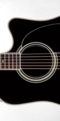 Takamine LEGACY EF341SC - Поставка звукового, светового, видео и сценического оборудования. Аудиовизуальные решения.