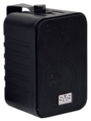 SVS Audiotechnik WSM-20 Black - Поставка звукового, светового, видео и сценического оборудования. Аудиовизуальные решения.