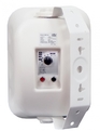 SVS Audiotechnik WSP-40 White - Поставка звукового, светового, видео и сценического оборудования. Аудиовизуальные решения.