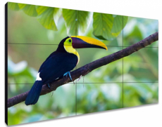 ЖК-панель для видеостен Exell EXPD-WA55AB15 55", FHD, 1,8 мм, 500 кд, 1200:1, ADS, DP loop, 24/7 - Поставка звукового, светового, видео и сценического оборудования. Аудиовизуальные решения.