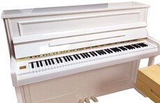 SAMICK JS112RID WHHP - Поставка звукового, светового, видео и сценического оборудования. Аудиовизуальные решения.