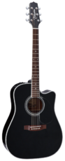 Takamine LEGACY EF341SC - Поставка звукового, светового, видео и сценического оборудования. Аудиовизуальные решения.