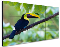 ЖК-панель для видеостен Exell EXPD-WA55AB15 55", FHD, 1,8 мм, 500 кд, 1200:1, ADS, DP loop, 24/7 - Поставка звукового, светового, видео и сценического оборудования. Аудиовизуальные решения.