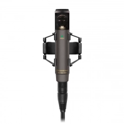 Sennheiser MKH 800 TWIN NX - Поставка звукового, светового, видео и сценического оборудования. Аудиовизуальные решения.