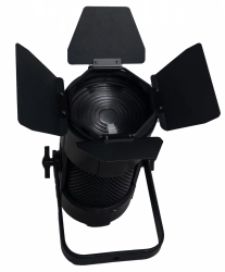 SHADOW Fresnel FR250C4X - Поставка звукового, светового, видео и сценического оборудования. Аудиовизуальные решения.