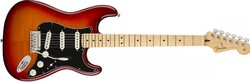 Fender PLAYER Stratocaster PLS TOP MN ACB - Ekb-musicmag.ru - аудиовизуальное и сценическое оборудование, акустические материалы