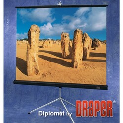 Экран Diplomat AV (1:1) 50/50" 127*127 MW - Поставка звукового, светового, видео и сценического оборудования. Аудиовизуальные решения.