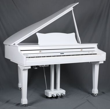 Ringway GDP6320 Polish White - Поставка звукового, светового, видео и сценического оборудования. Аудиовизуальные решения.