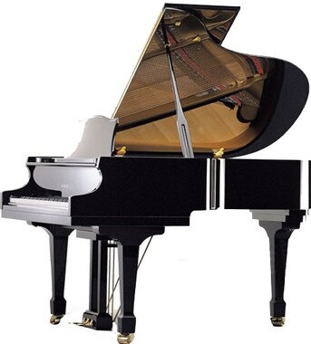 SAMICK SIG59D EBHP - Поставка звукового, светового, видео и сценического оборудования. Аудиовизуальные решения.