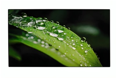 Dahua Technology DHI-LS650KCM-UF - Поставка звукового, светового, видео и сценического оборудования. Аудиовизуальные решения.